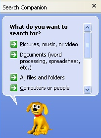Windows Search Companion